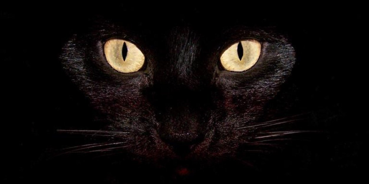 hnfdl's profile banner image