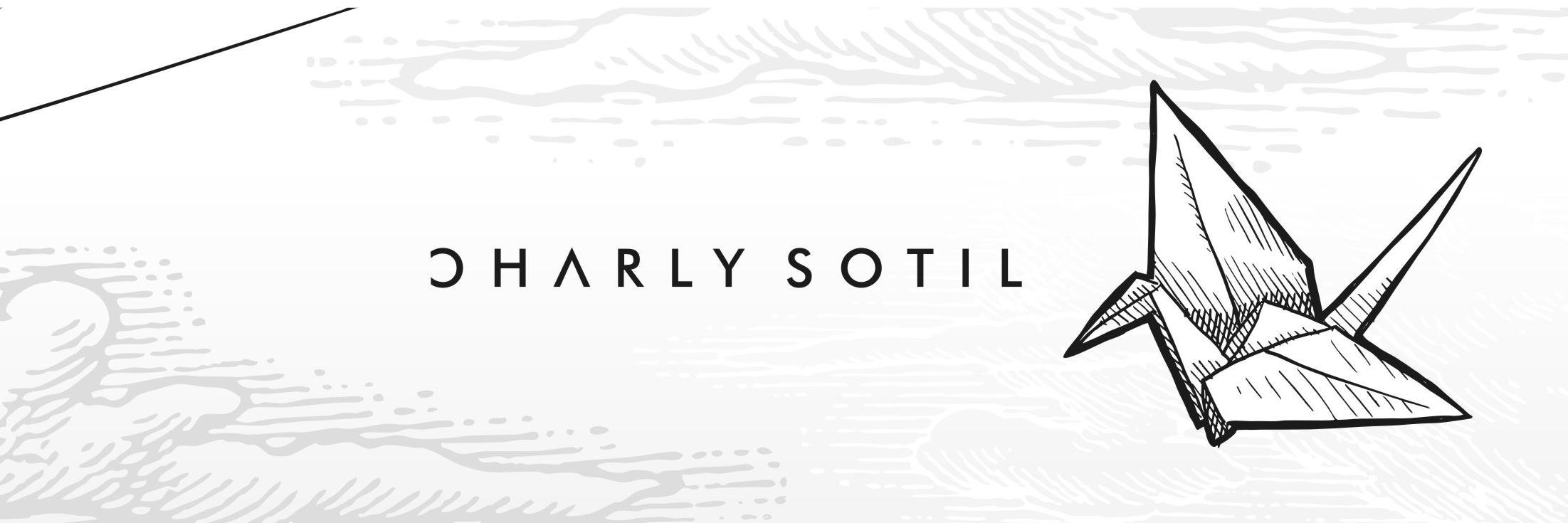 charlysotil's profile banner image