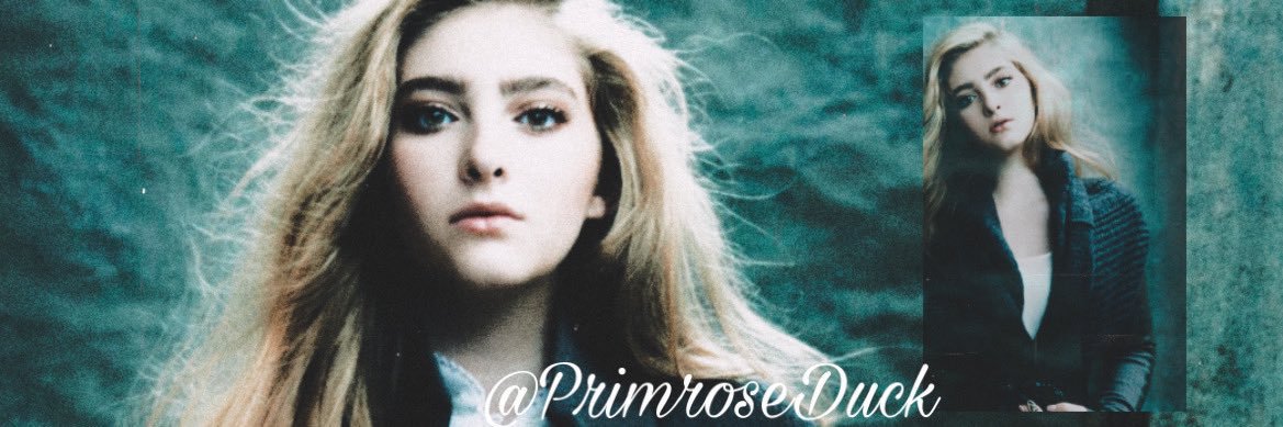 PrimroseDuck's profile banner image