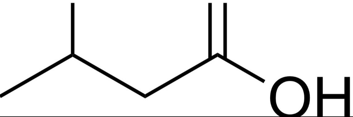 Thomas N. Seyfried banner