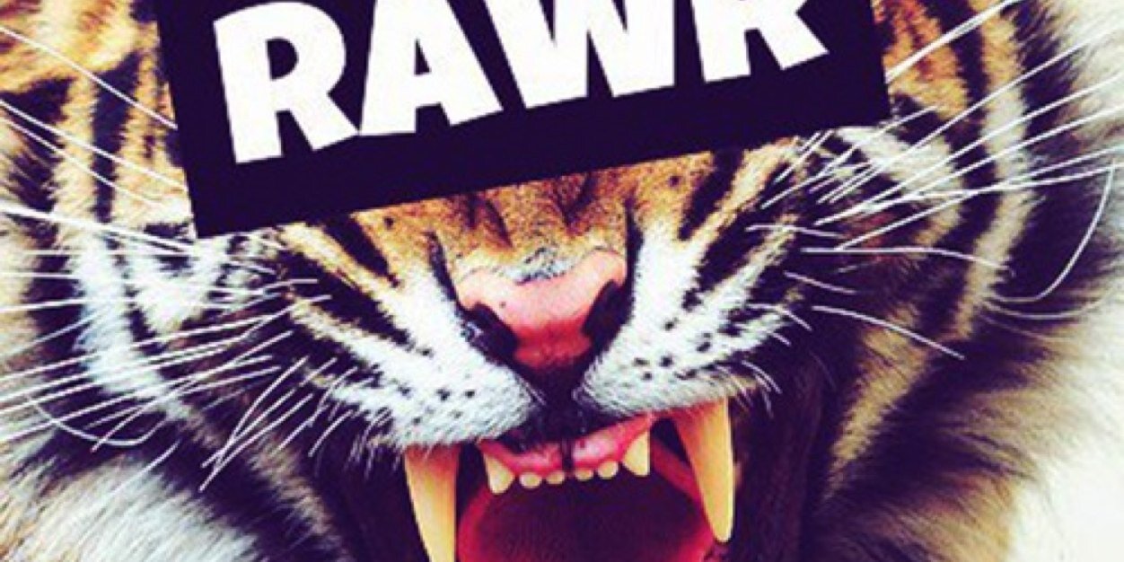 PasHarrison's profile banner image