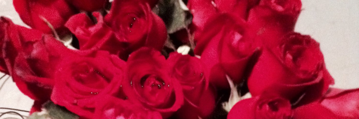 EstefaniaSahe's profile banner image