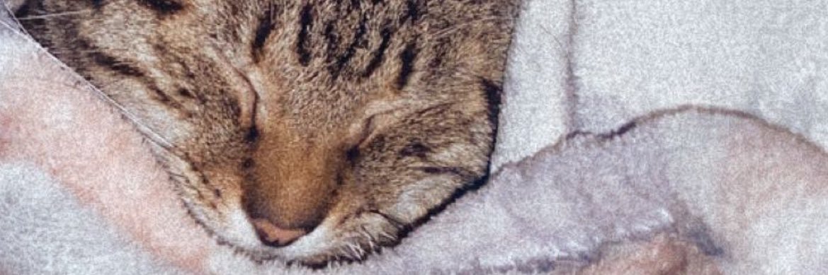 lmtk_x's profile banner image