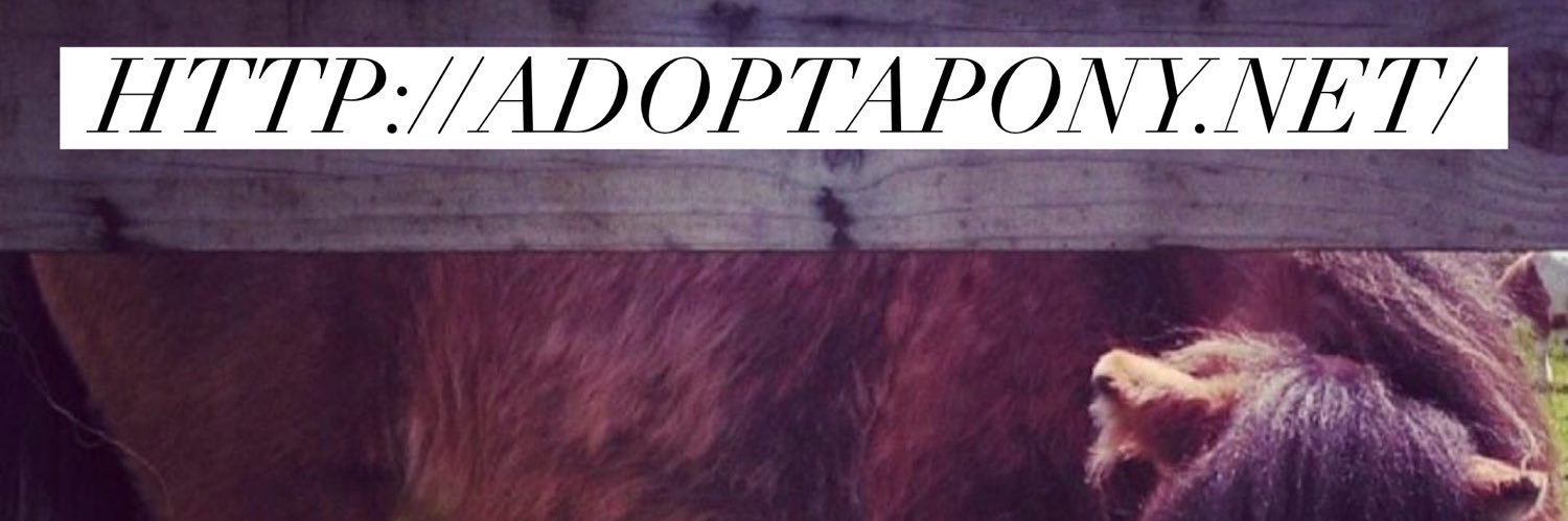 AandTequestrian's profile banner image