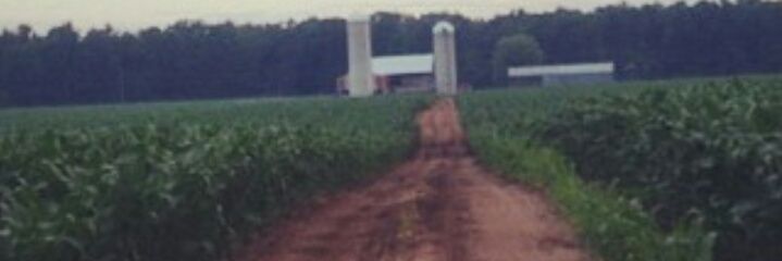 chrishass1's profile banner image