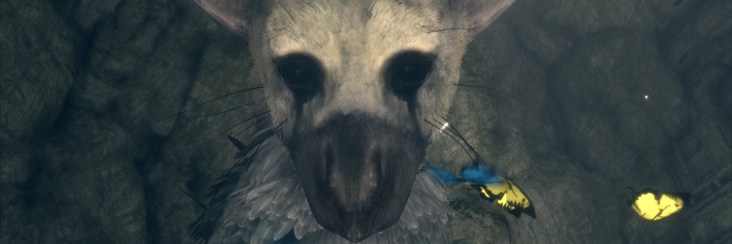 FischerMinus88's profile banner image