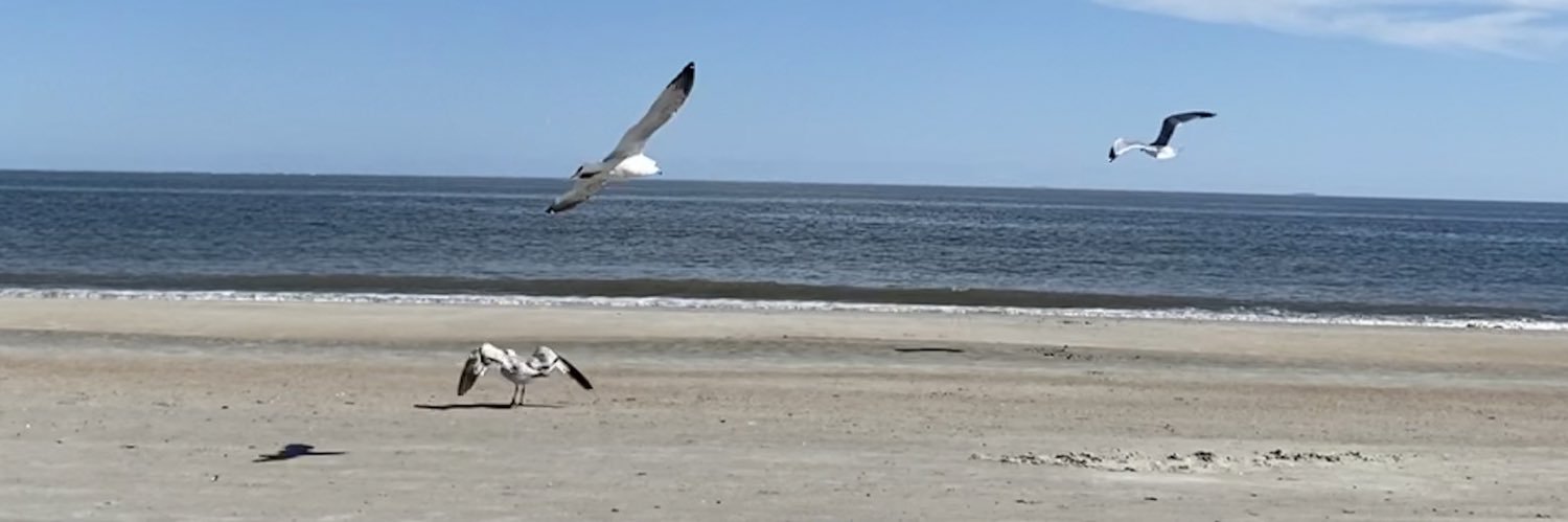 Yuly Castillo banner