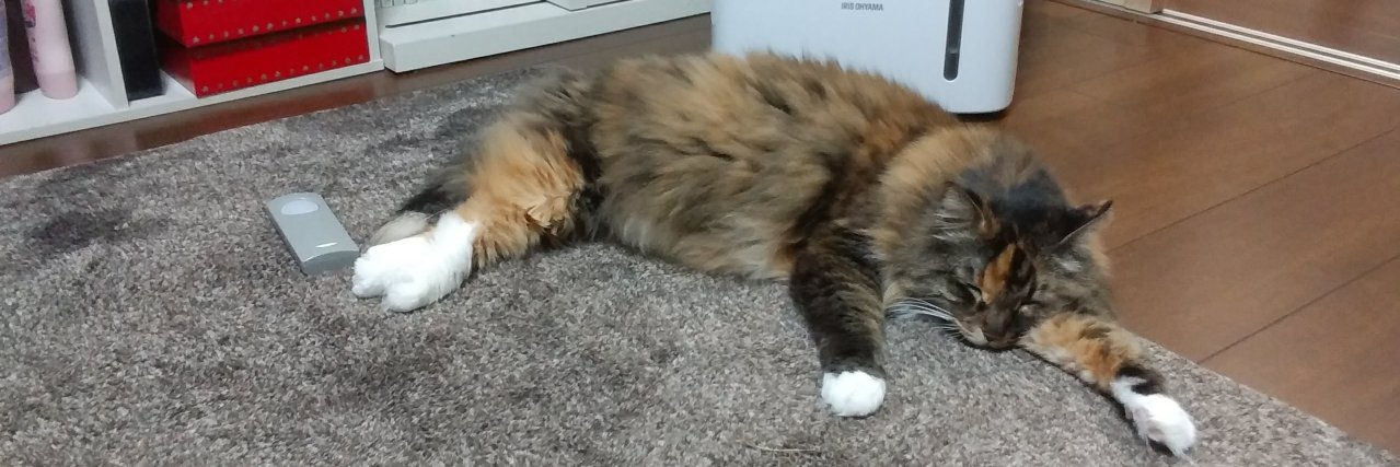 stahlkatze's profile banner image