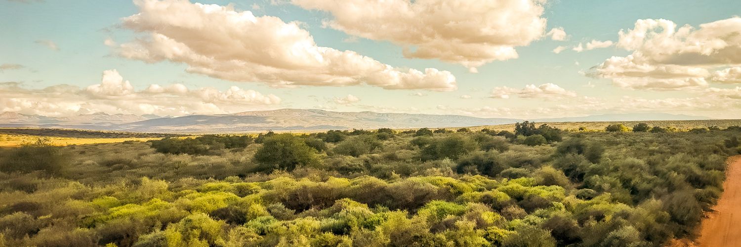 mttukula's profile banner image