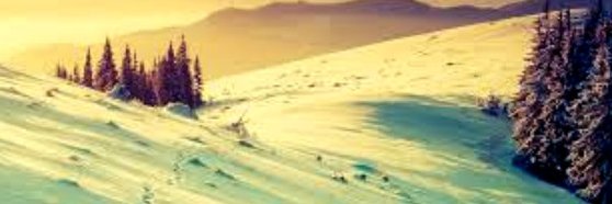 Burttiful's profile banner image