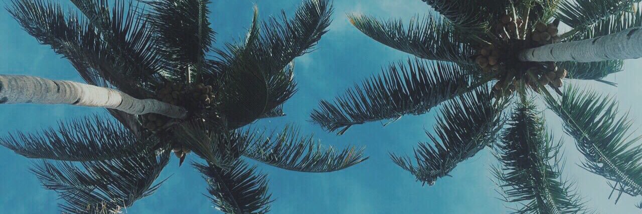 RIH. banner