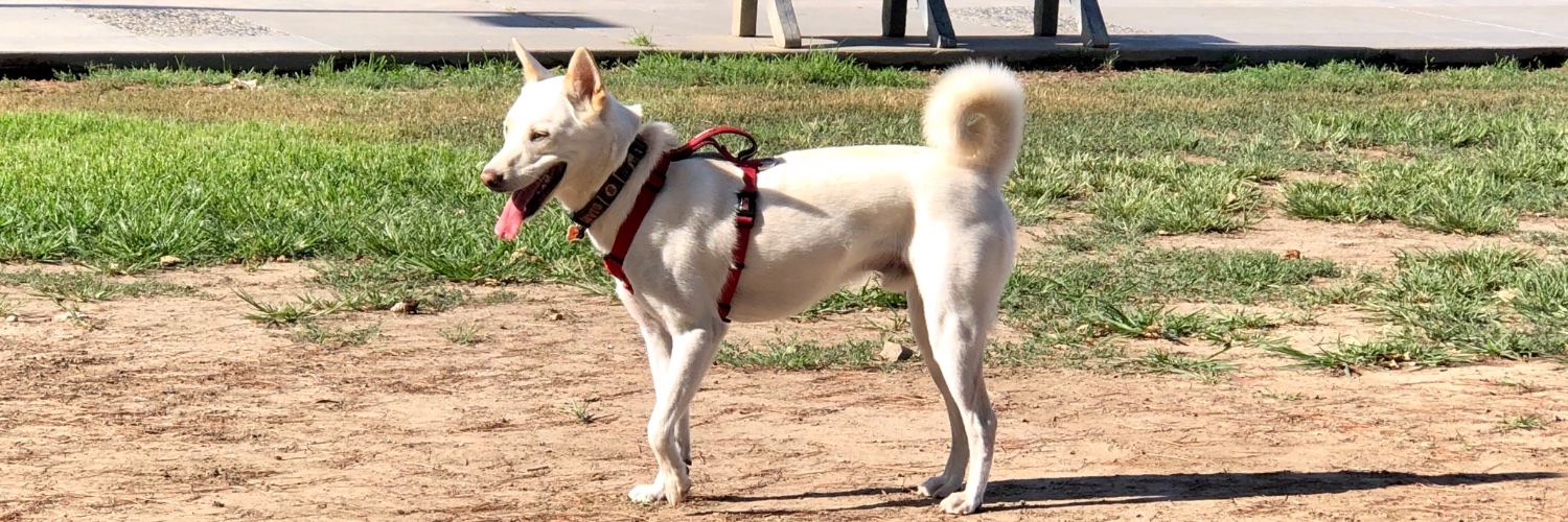 Jimi James 🇺🇸 banner