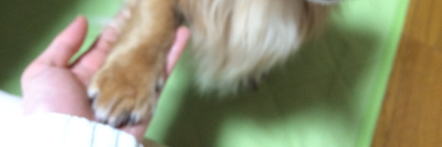 indigo8children's profile banner image