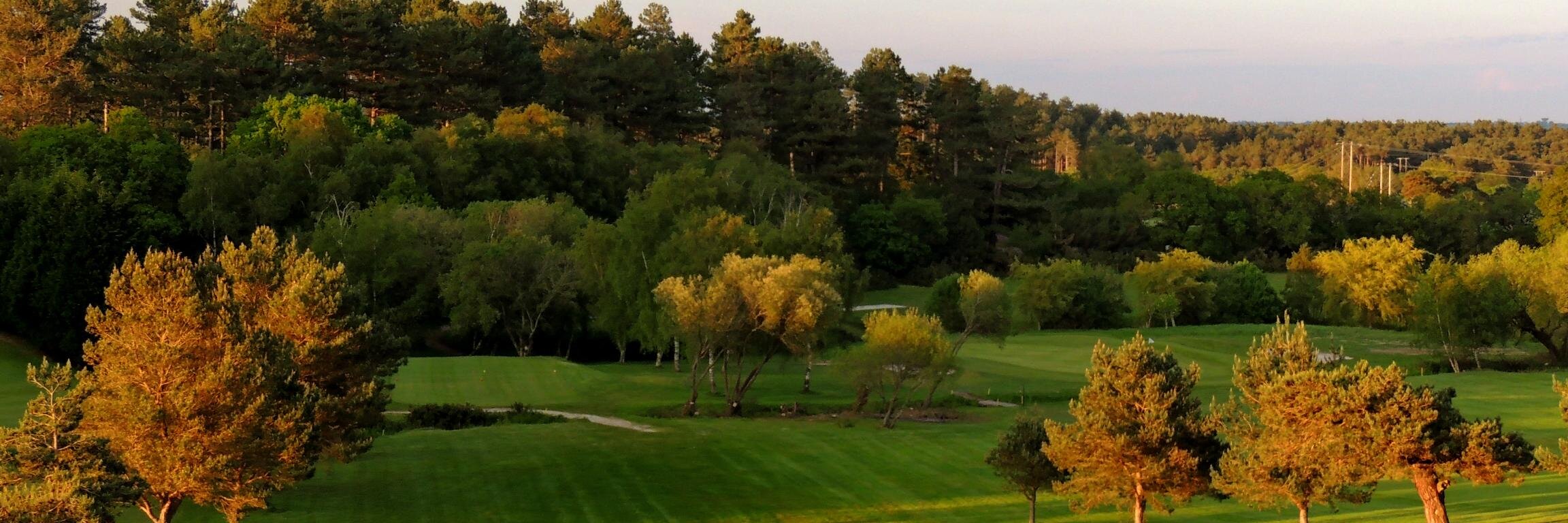Wareham Golf Club banner