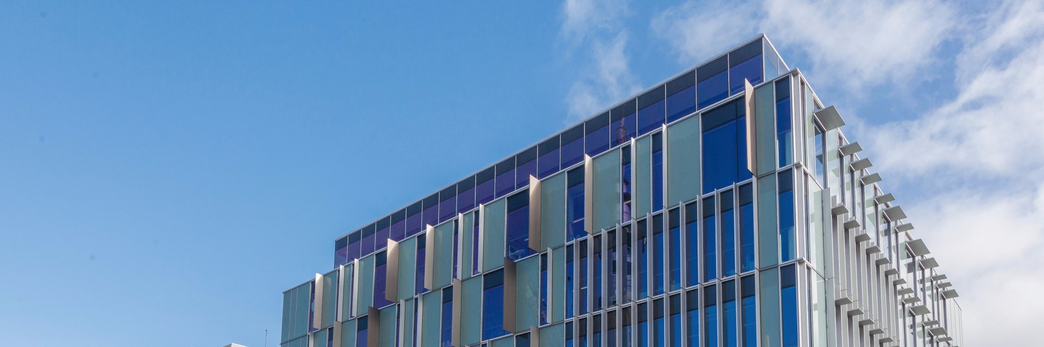 Simon Moutter banner