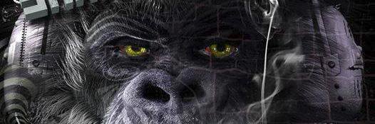 rapido banner