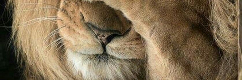 ikaa_ikk's profile banner image