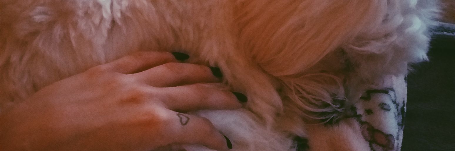 marinargm96's profile banner image