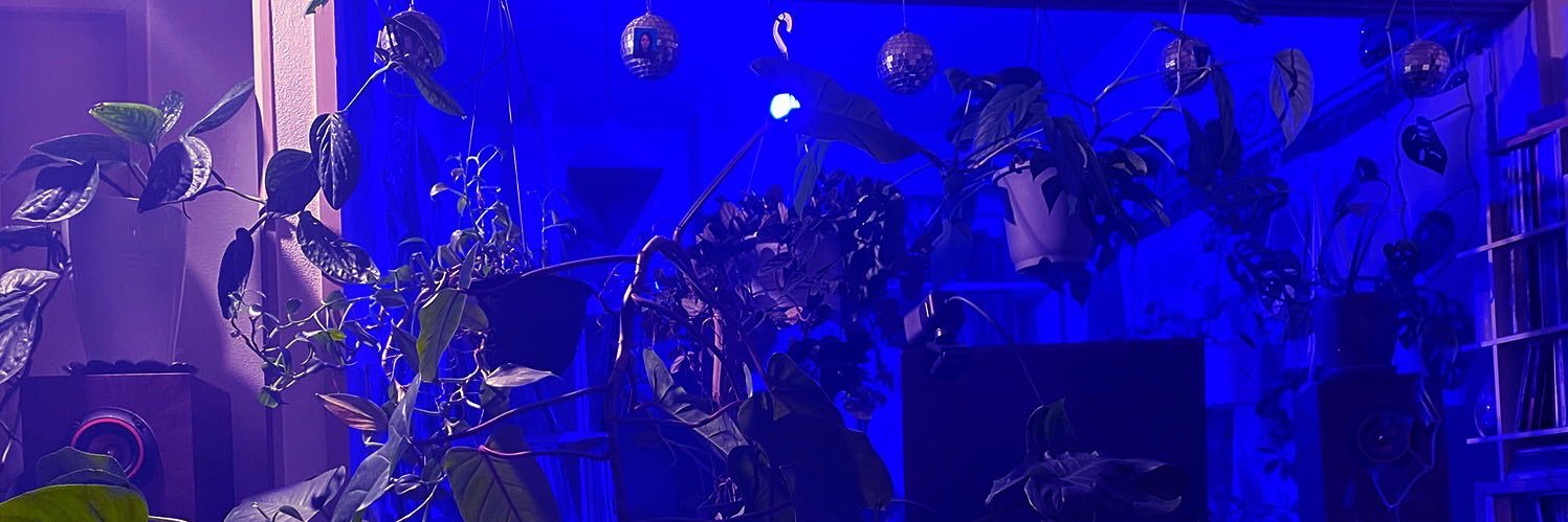 chicchi877sloth's profile banner image