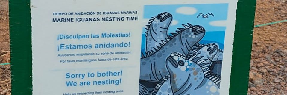 Tortuga mágica ♥️🖼️ banner
