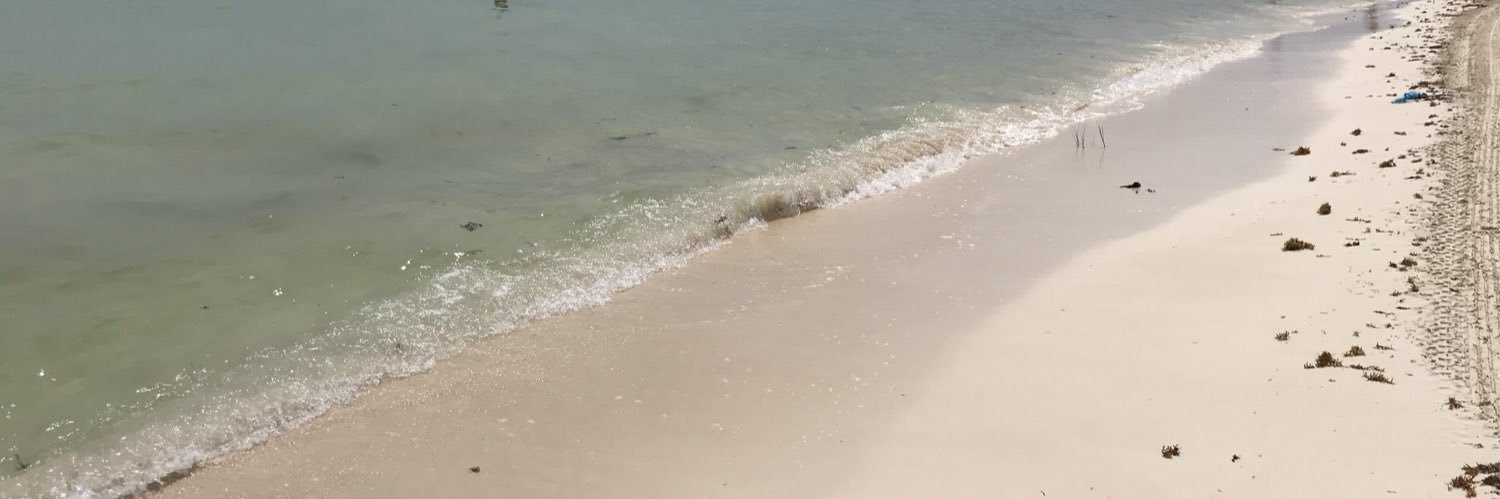 ALEXGTZM's profile banner image