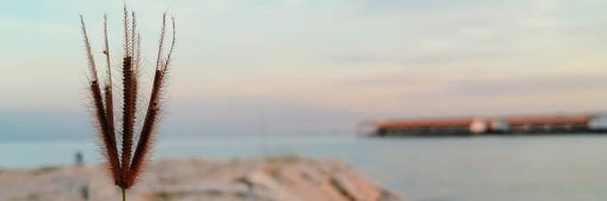 itsjustkrisha's profile banner image