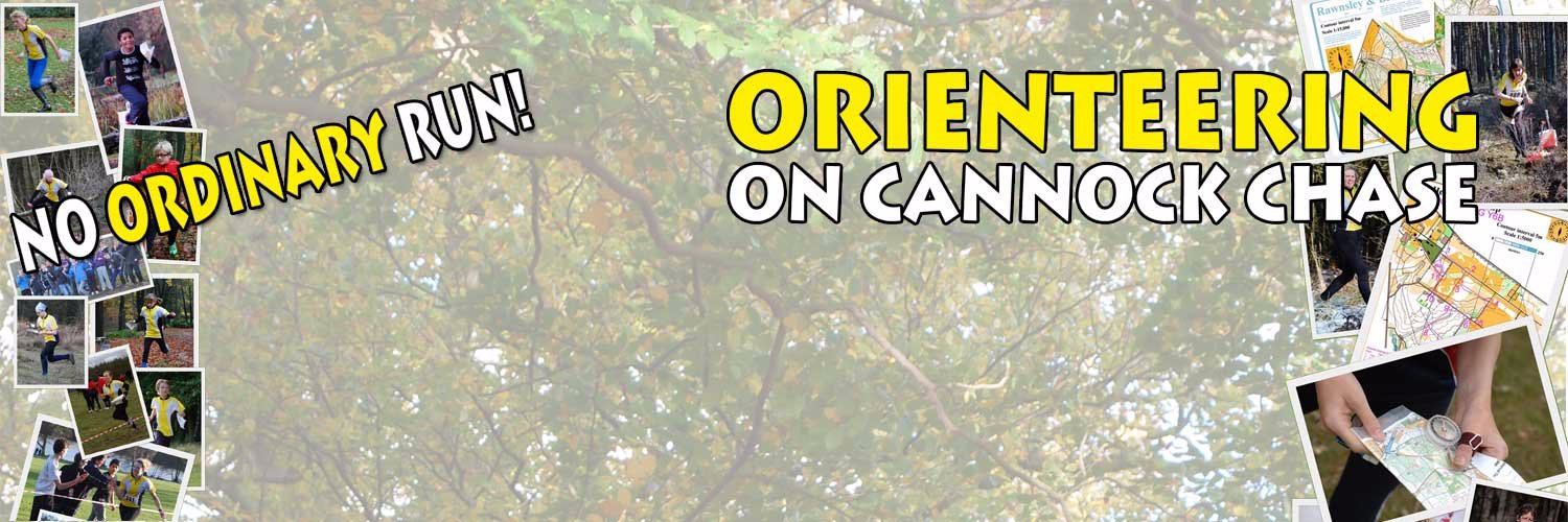 Walton Chasers banner