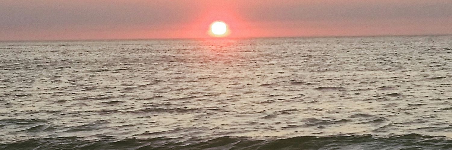 spindocta83's profile banner image