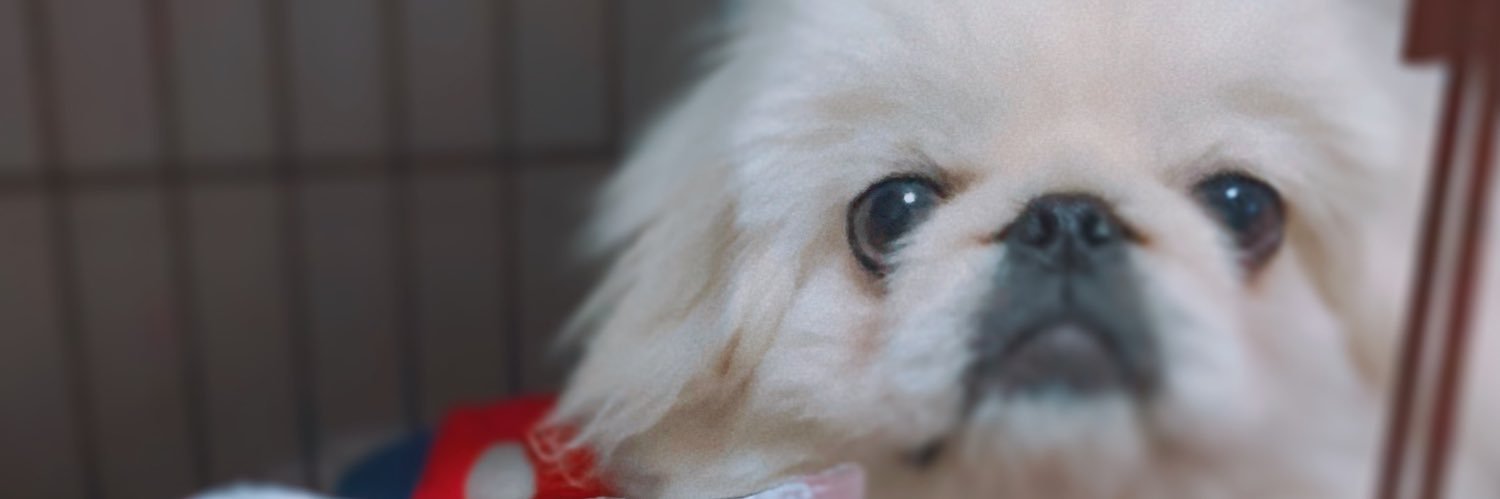 non0734's profile banner image
