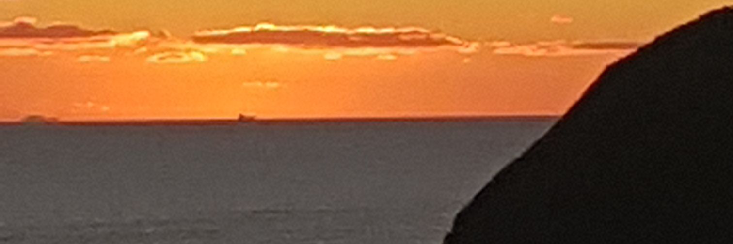 FamishedSim's profile banner image