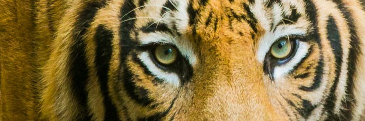 PreveenR's profile banner image