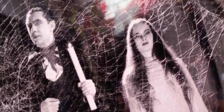 Spitfire Interiors banner