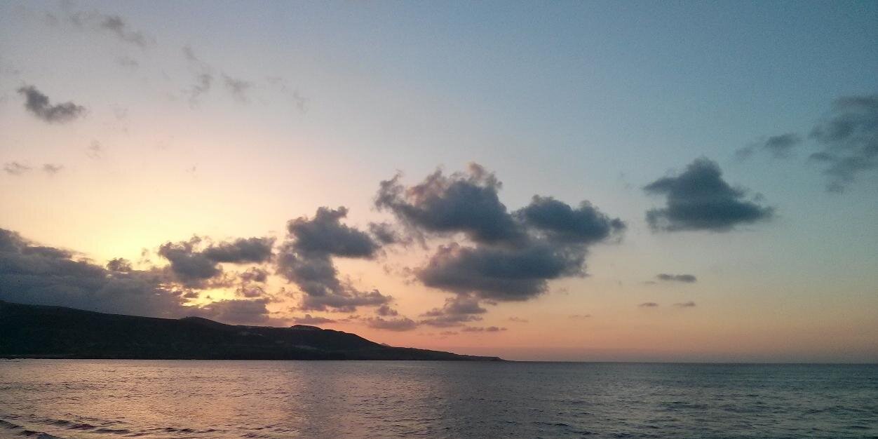 Francesco Tassi banner