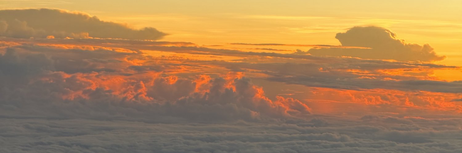 Amielnarvaez's profile banner image