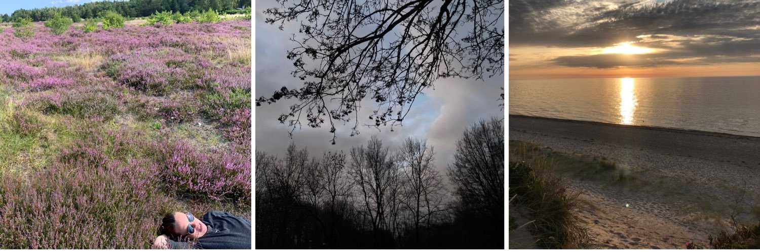 Birkedal Frich banner