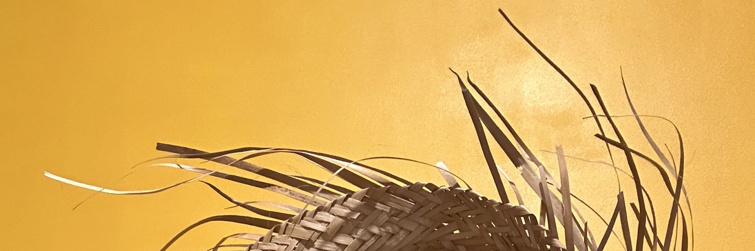 Daniel Beltrão banner