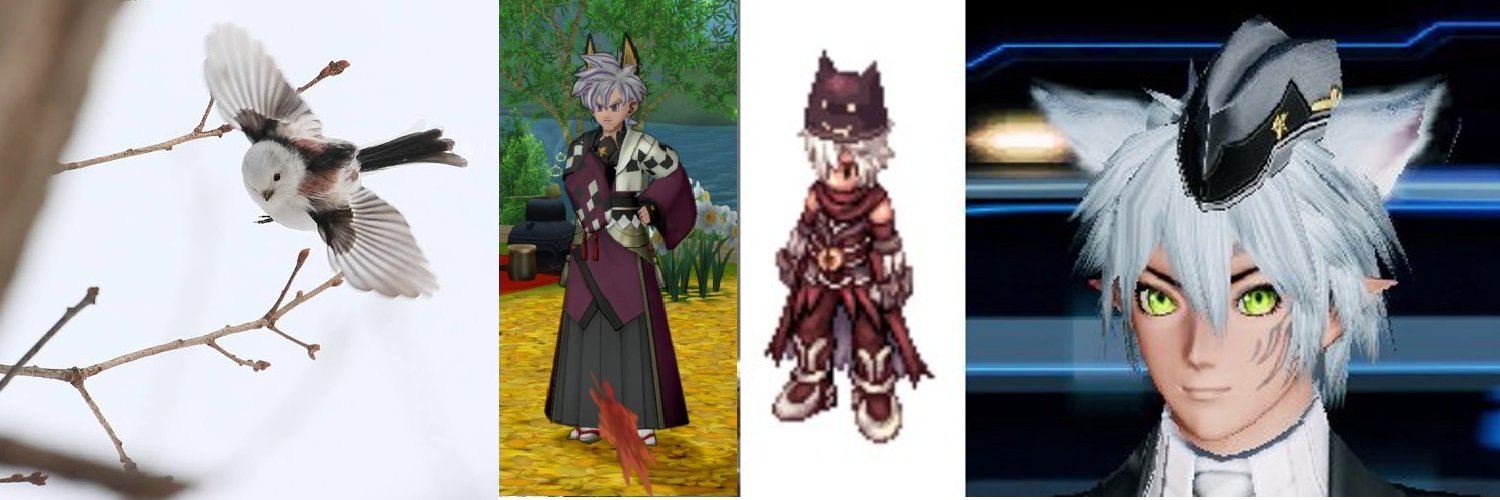 seisho_h's profile banner image