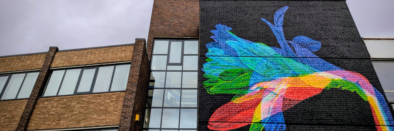 Wrexham Council banner