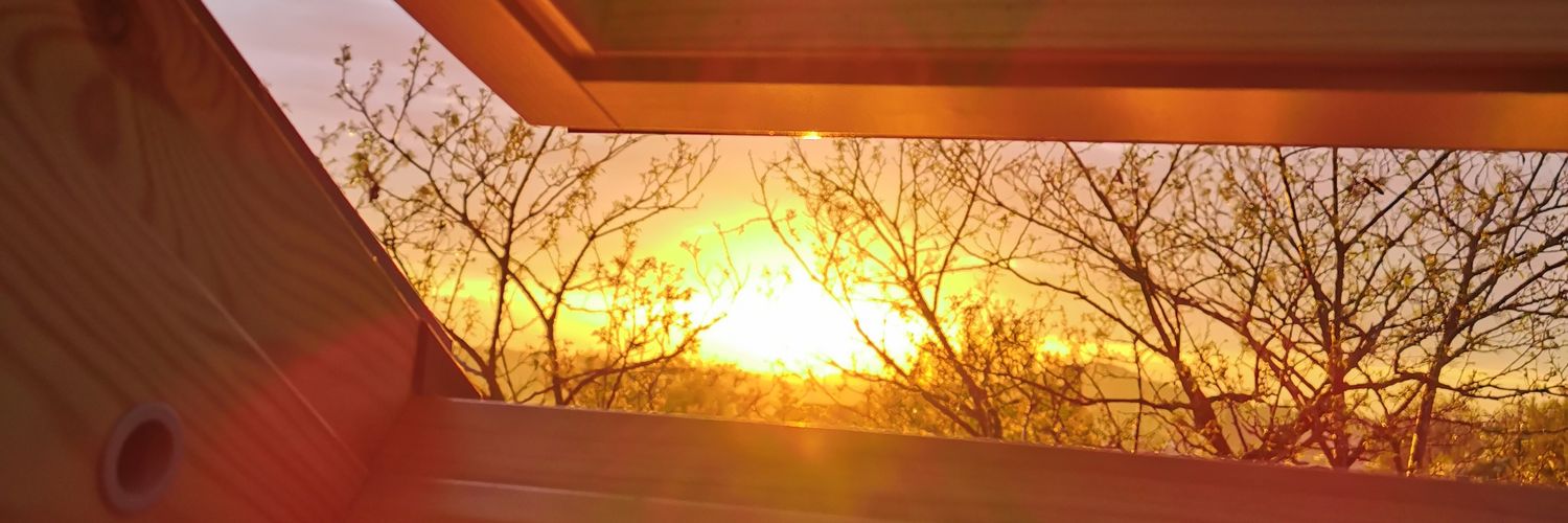 LorKn3ss's profile banner image