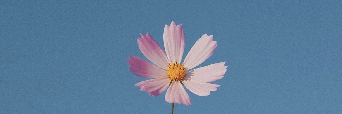 hellyeahky_'s profile banner image