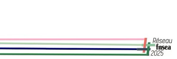 fdsea84 Profile Banner