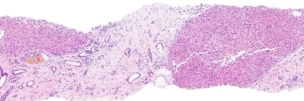 Dr_Brian_Cox Profile Banner