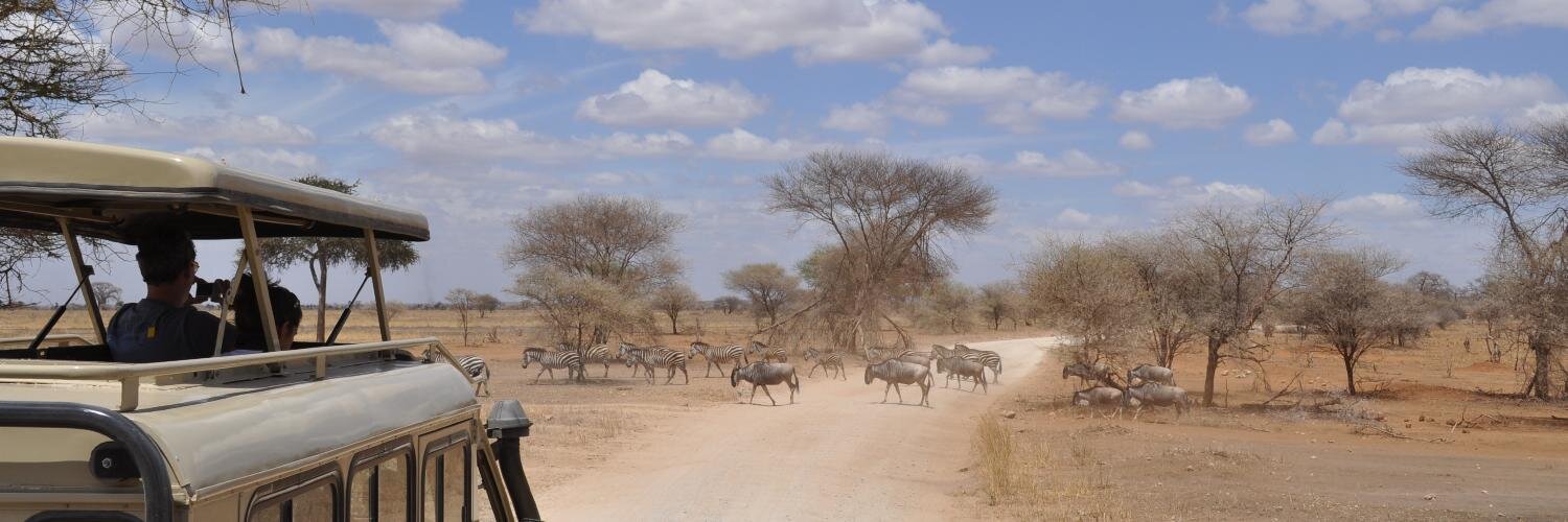 Martin Bruncko banner