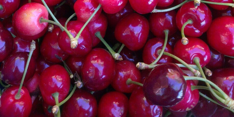 CastaniaFruits's profile banner image