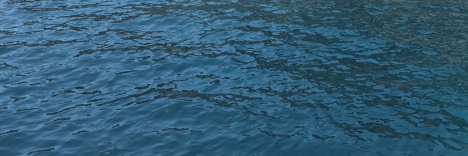 sedabastug's profile banner image