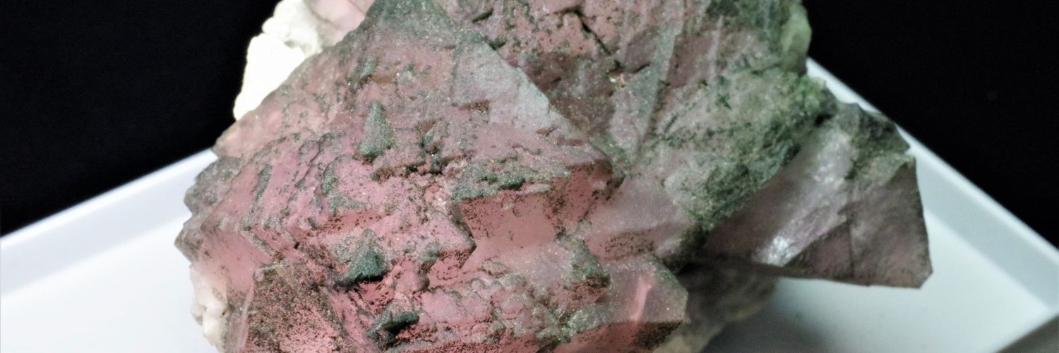 ジャッキー banner