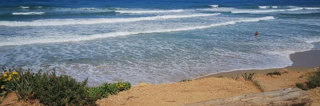 ישראל אילון banner