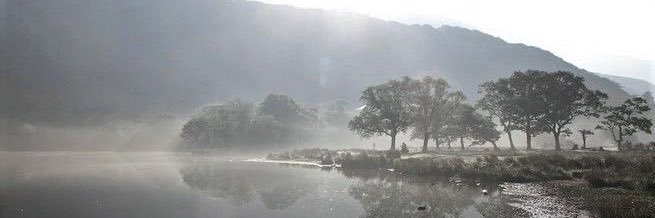Wtnjong's profile banner image
