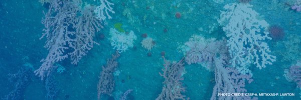 CanHealthyOcean Profile Banner