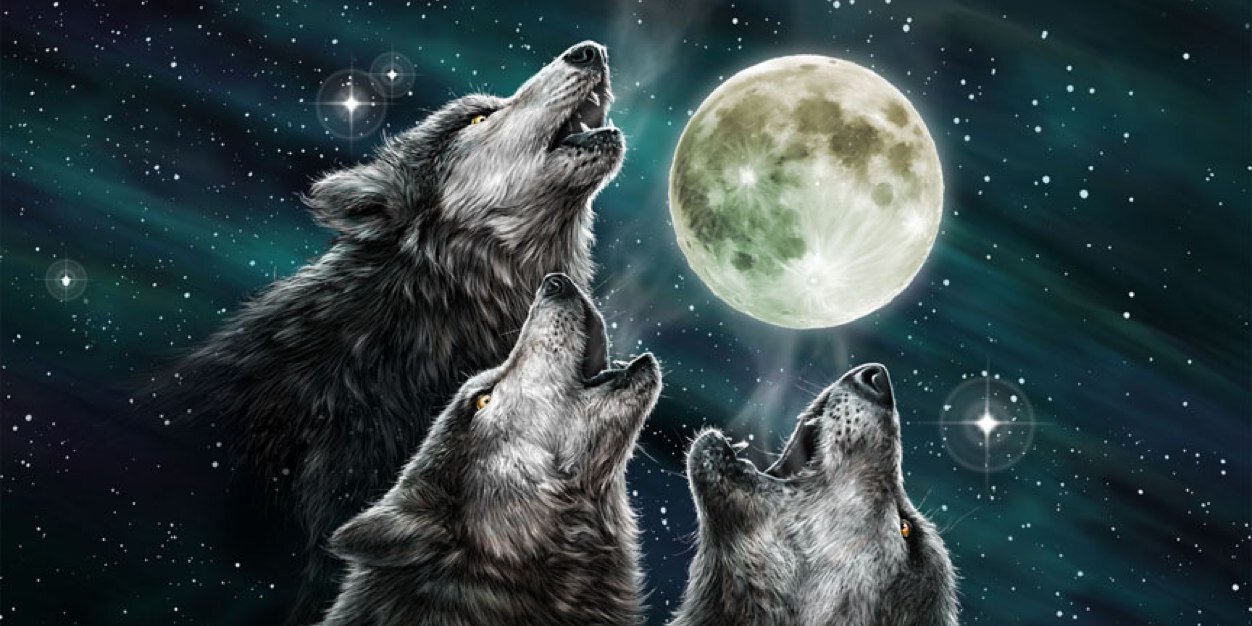 ryogapranata's profile banner image